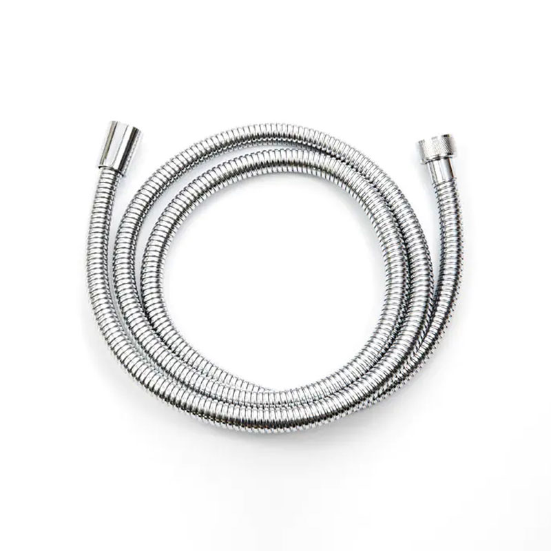 Stainsteel Shower Hose
